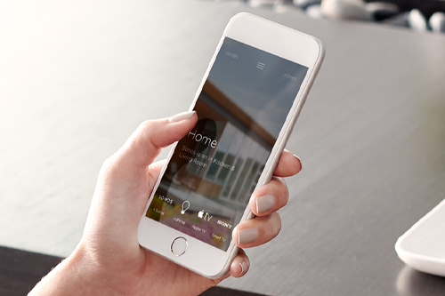 security and networking